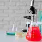 Succeed in NEET 2025 with Wisdom Academy’s NEET Repeaters Batch (NEET Droppers Batch) in Mumbai