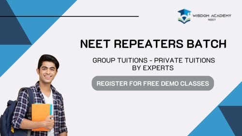 neet repeaters batch-wisdom academy